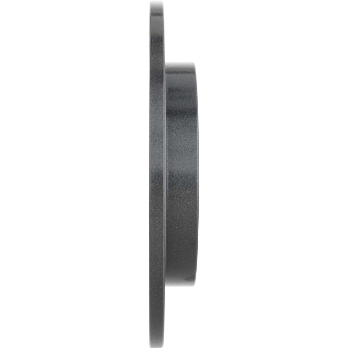 PRIME UV Coated Rear Disc Brake Rotor - 08.4931.21_01