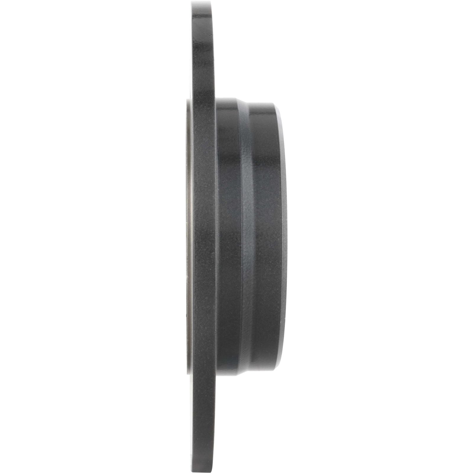 PRIME UV Coated Rear Disc Brake Rotor - 08.9175.11_01
