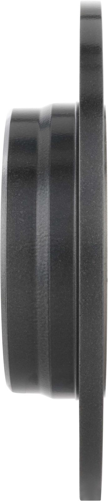 PRIME UV Coated Rear Disc Brake Rotor - 08.9175.11_04