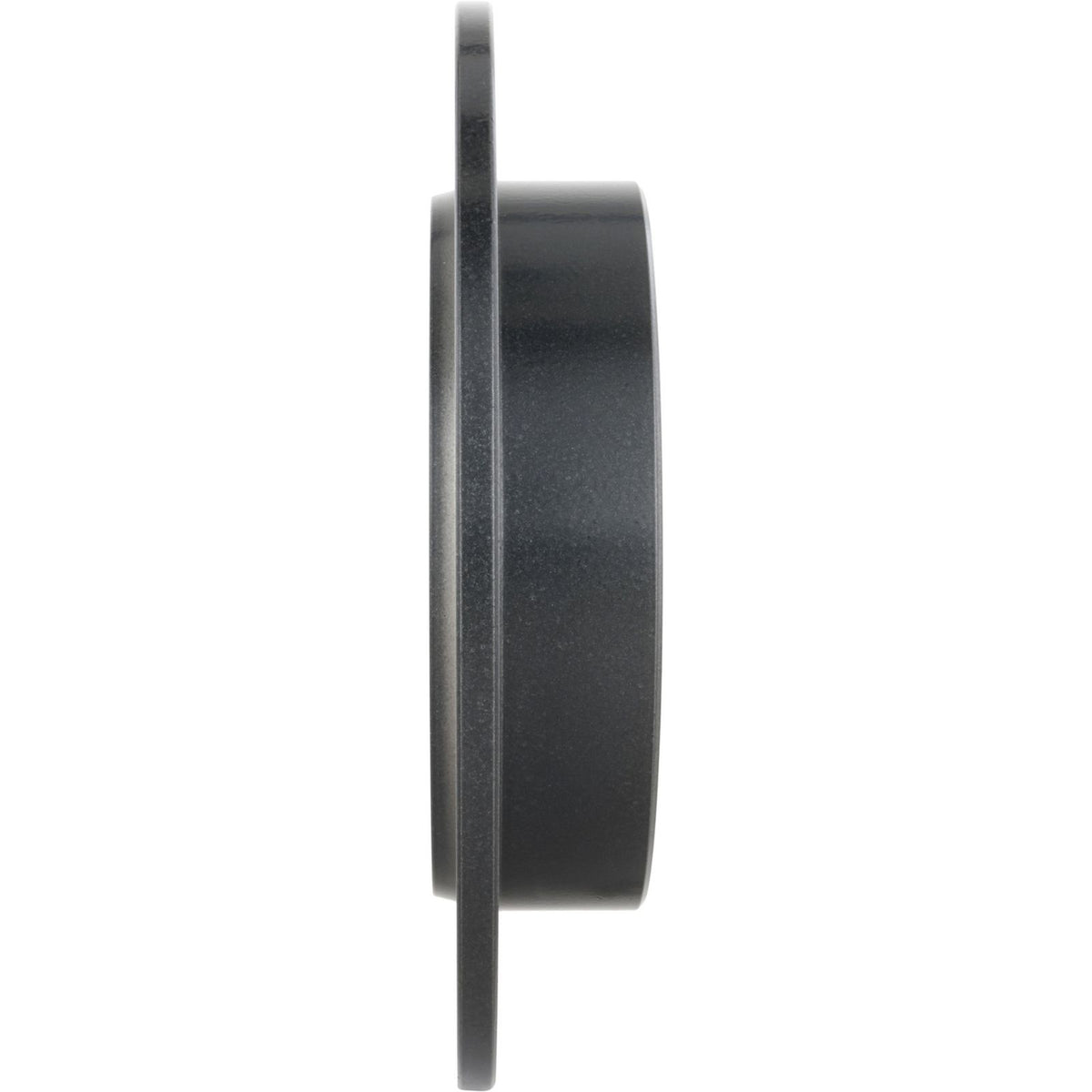 PRIME UV Coated Rear Disc Brake Rotor - 08.B029.11_01