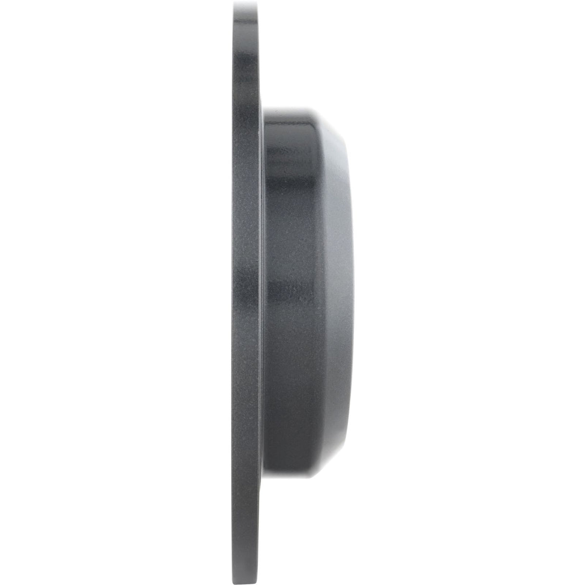 PRIME UV Coated Rear Disc Brake Rotor - 08.E139.11_02