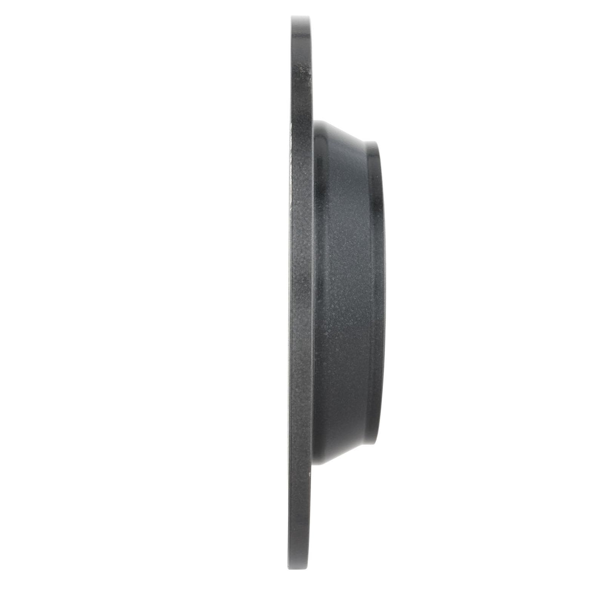 PRIME UV Coated Rear Disc Brake Rotor - 08.N258.21_19