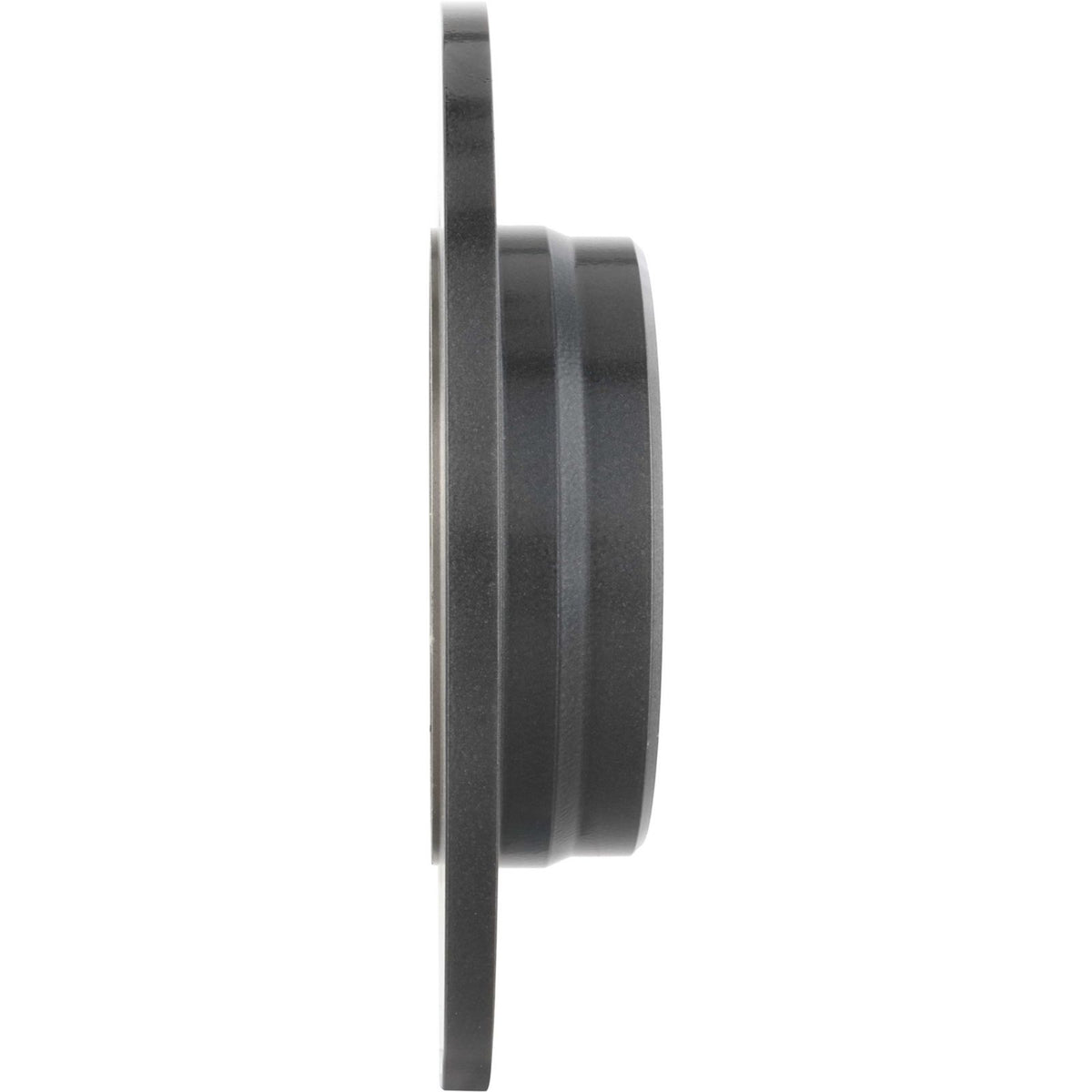 PRIME UV Coated Rear Disc Brake Rotor - 08.9175.11_01